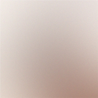 Software Development